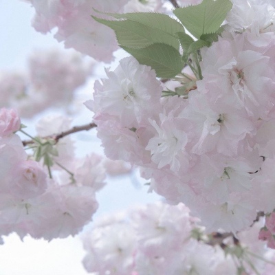 Furry文化趣味解读福瑞交流群